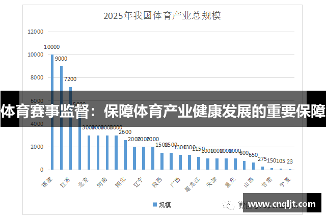 体育赛事监督：保障体育产业健康发展的重要保障