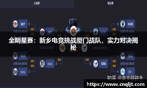 全明星赛：新乡电竞挑战厦门战队，实力对决揭秘